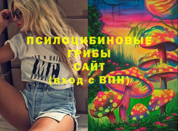 соль курить ск Белокуриха