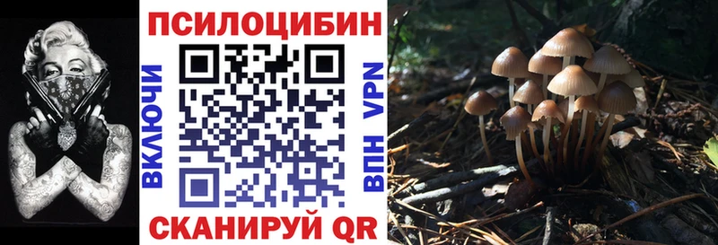 Галлюциногенные грибы прущие грибы  купить   Буйнакск 