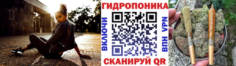 закладка Буйнакск darknet клад Канабис семена